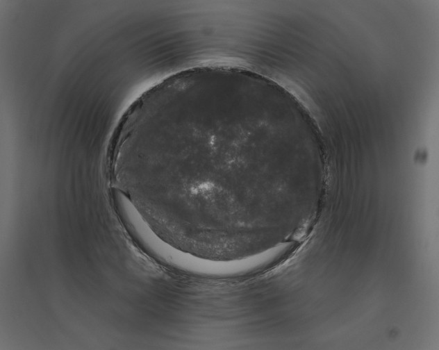 X0000094361022200711241932