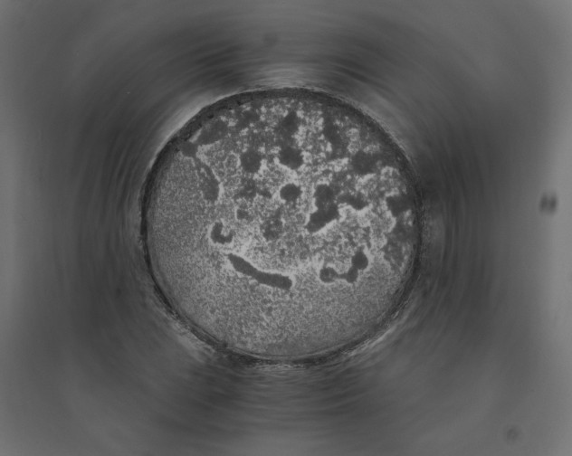 X0000094361023200711241932