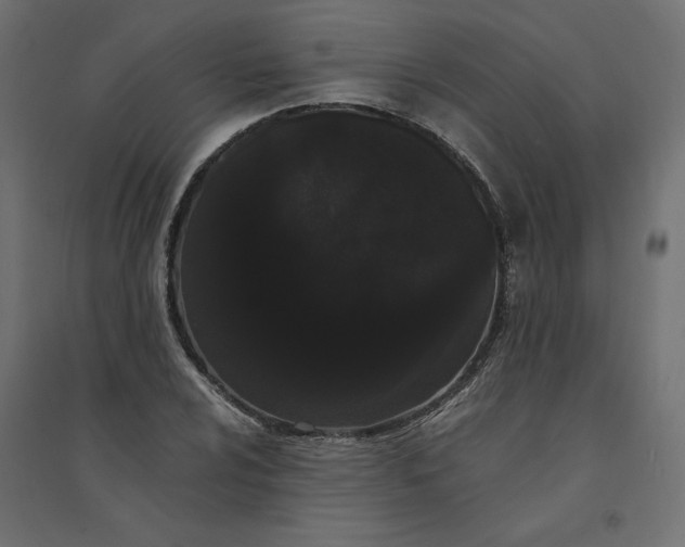 X0000094361024200711241932