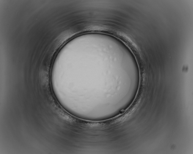 X0000094361025200711241932