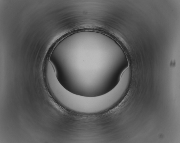 X0000094361026200711241932