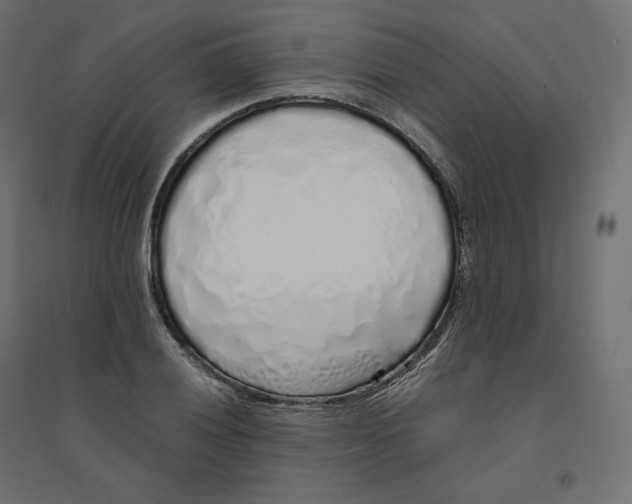 X0000094361028200711241932