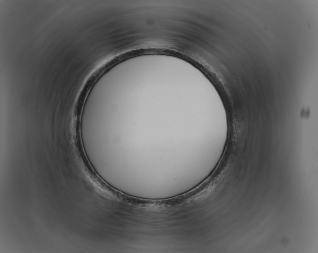 X0000094361029200711241932