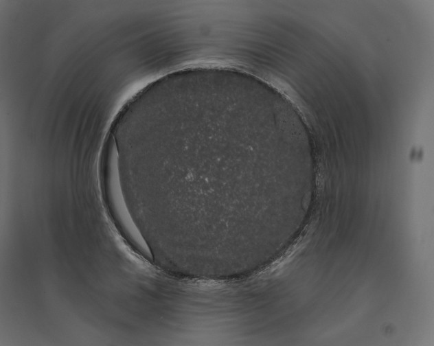 X0000094361030200711241932