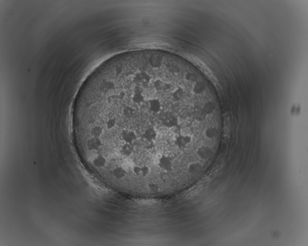 X0000094361031200711241932