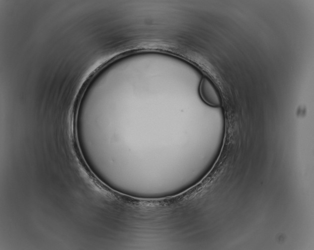 X0000094361032200711241932