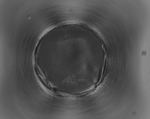 X0000094361034200711241933