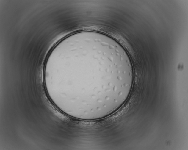 X0000094361036200711241933