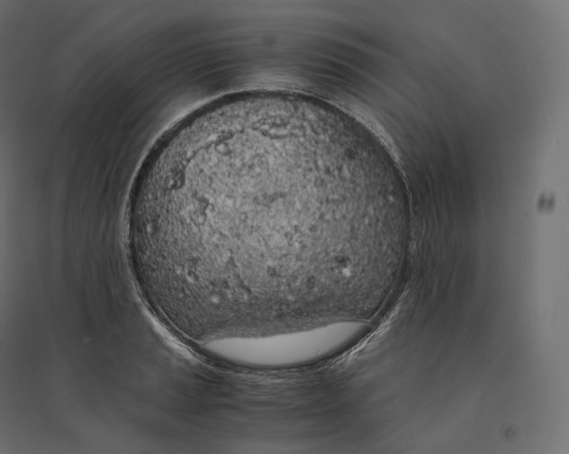 X0000094361037200711241933