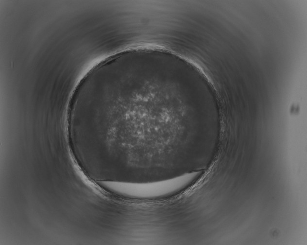 X0000094361038200711241933