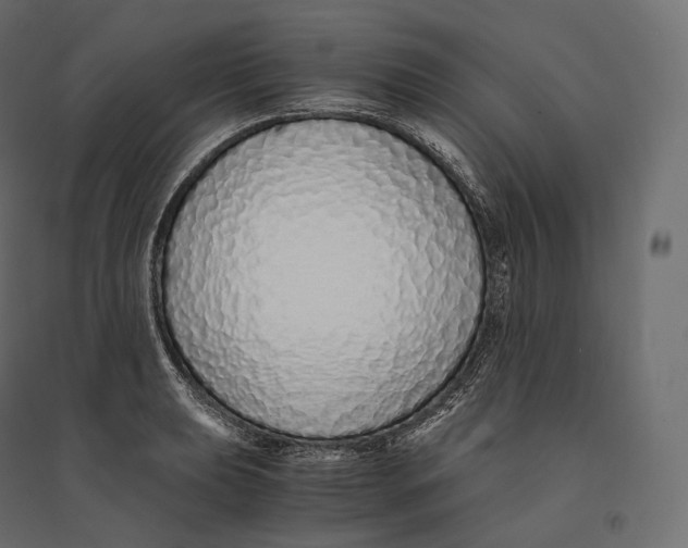 X0000094361039200711241933