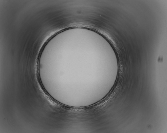 X0000094361040200711241933