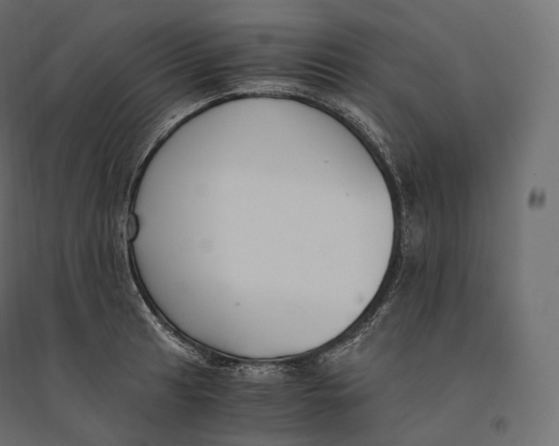 X0000094361041200711241933