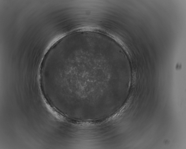 X0000094361042200711241933