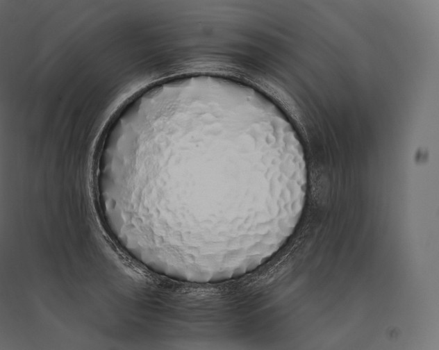 X0000094361043200711241933