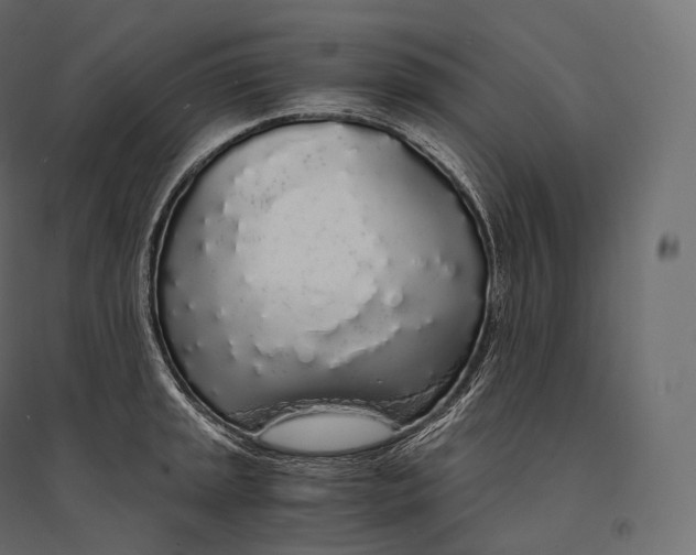 X0000094361045200711241933