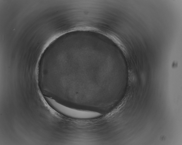 X0000094361046200711241933