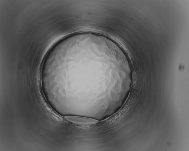 X0000094361048200711241933