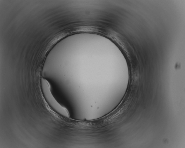 X0000094361049200711241933