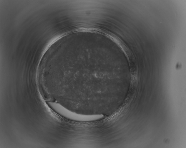 X0000094361050200711241933