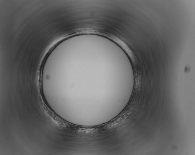 X0000094361051200711241933