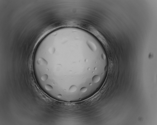 X0000094361052200711241933