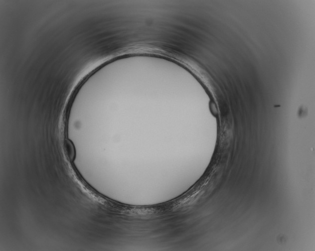 X0000094361053200711241933