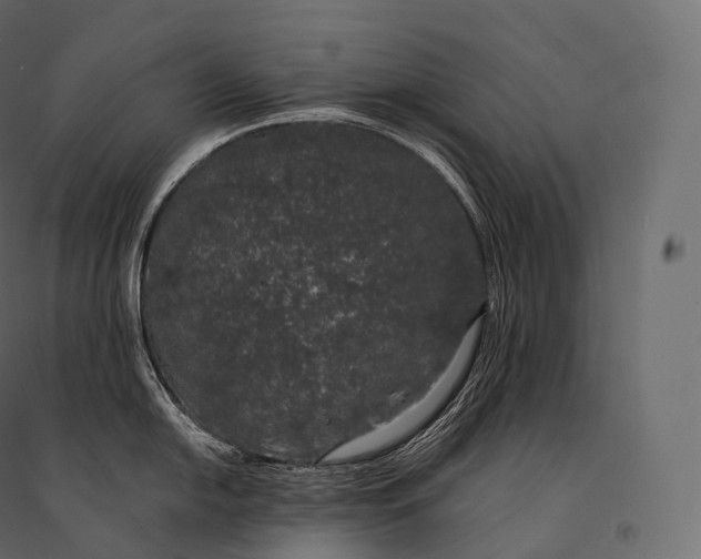 X0000094361054200711241933