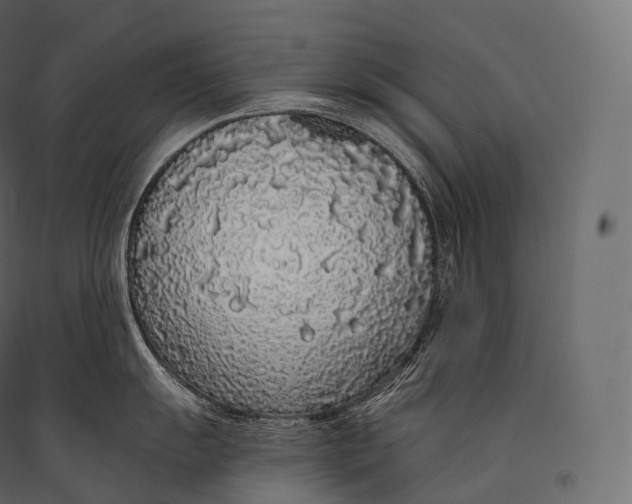 X0000094361055200711241933