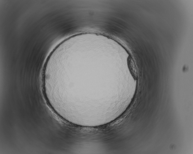 X0000094361056200711241933