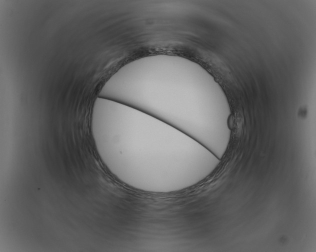 X0000094361060200711241932