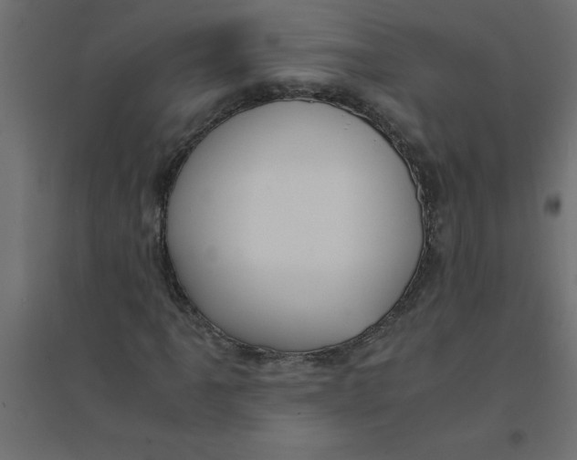 X0000094361061200711241932