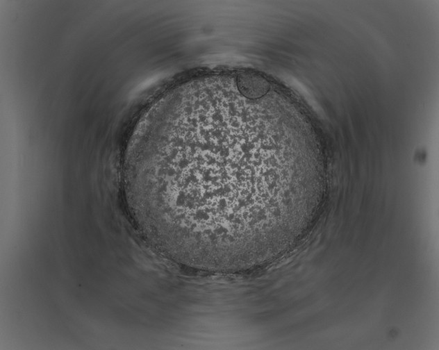 X0000094361063200711241932