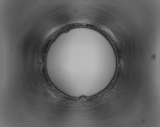 X0000094361064200711241932