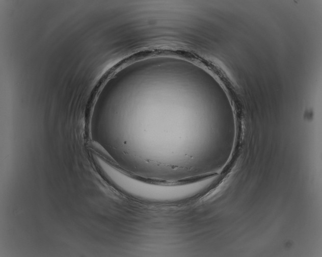 X0000094361065200711241932