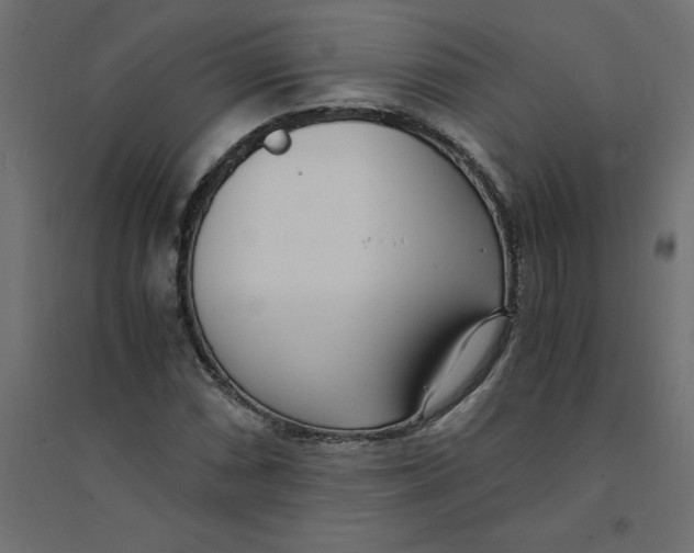 X0000094361066200711241932