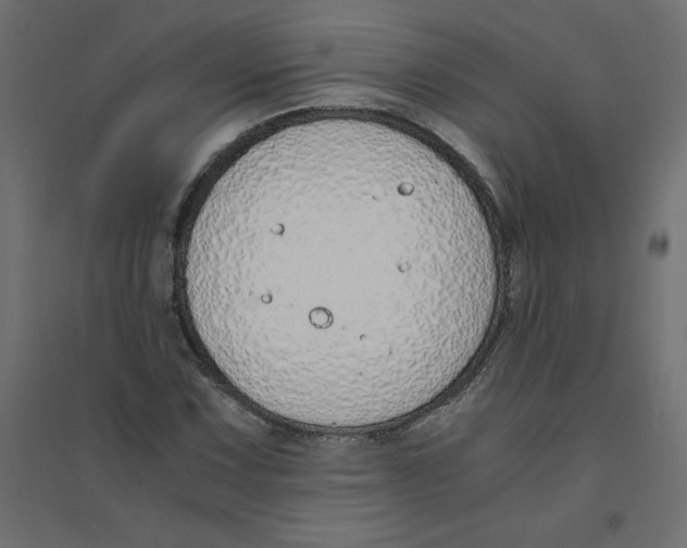 X0000094361067200711241932