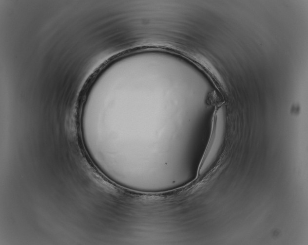 X0000094361068200711241932