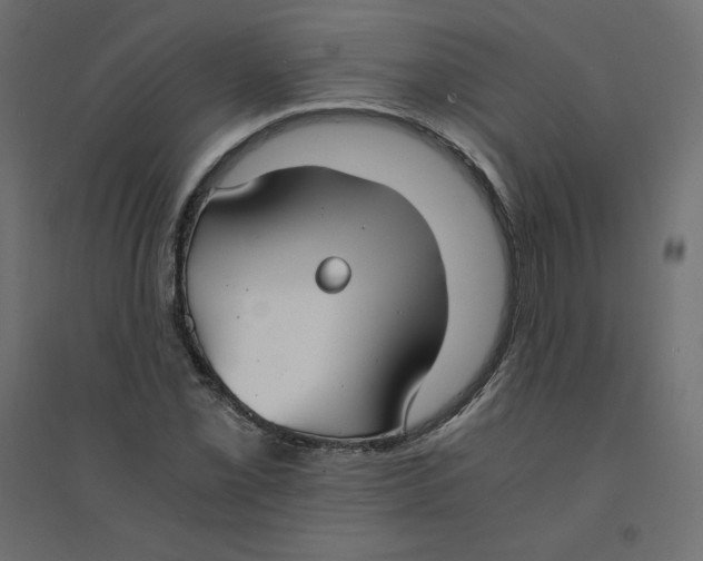 X0000094361069200711241932