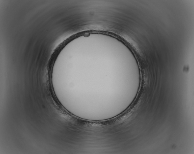 X0000094361070200711241932