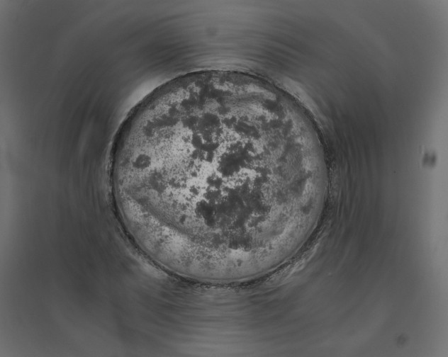 X0000094361071200711241932