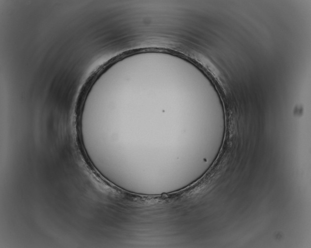 X0000094361072200711241932