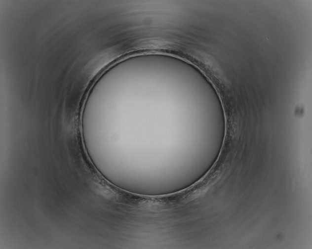 X0000094361073200711241932