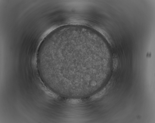 X0000094361074200711241932