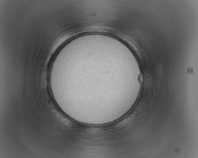 X0000094361075200711241932