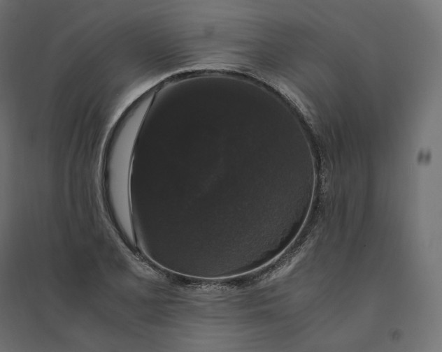 X0000094361077200711241932