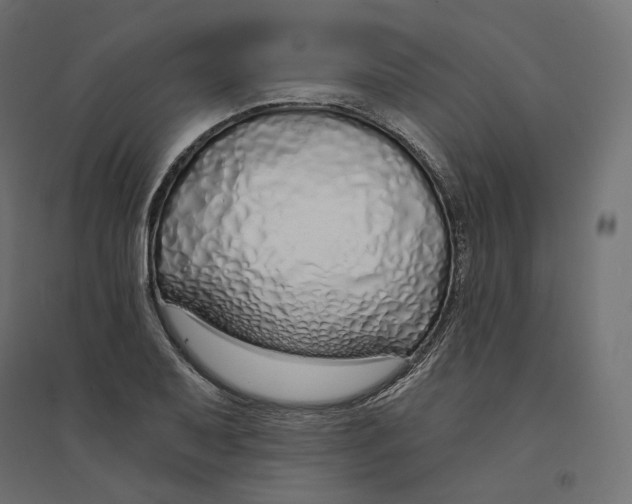 X0000094361079200711241932