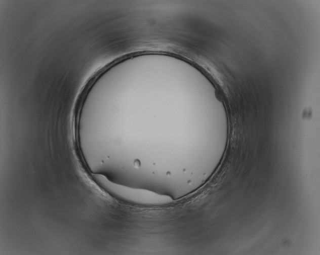 X0000094361080200711241932