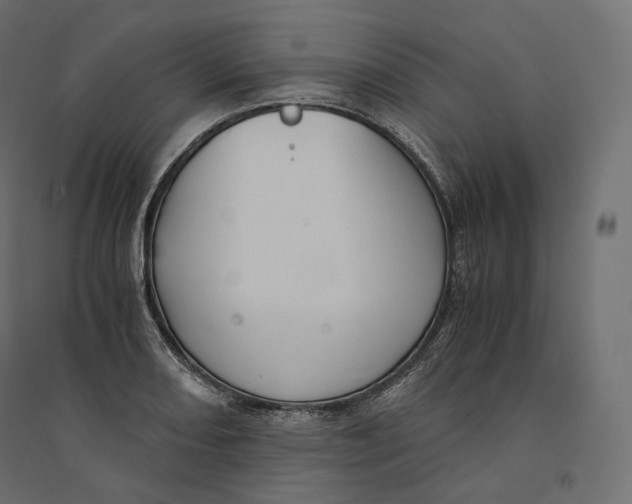 X0000094361082200711241932