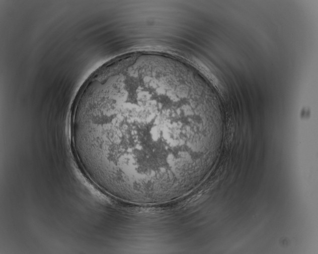 X0000094361084200711241932